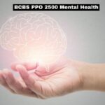 BCBS PPO 2500 Mental Health Care for Your Well-Being