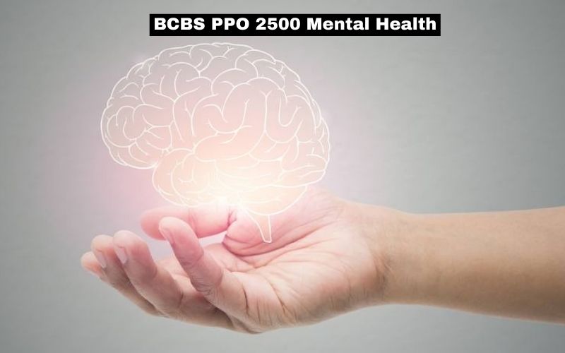 BCBS PPO 2500 Mental Health Care for Your Well-Being