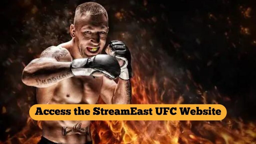 StreamEast UFC Website