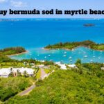 buy bermuda sod in myrtle beach/ wspy news/ crypto30x.com news, Discover where to buy Bermuda sod in Myrtle Beach, latest updates.