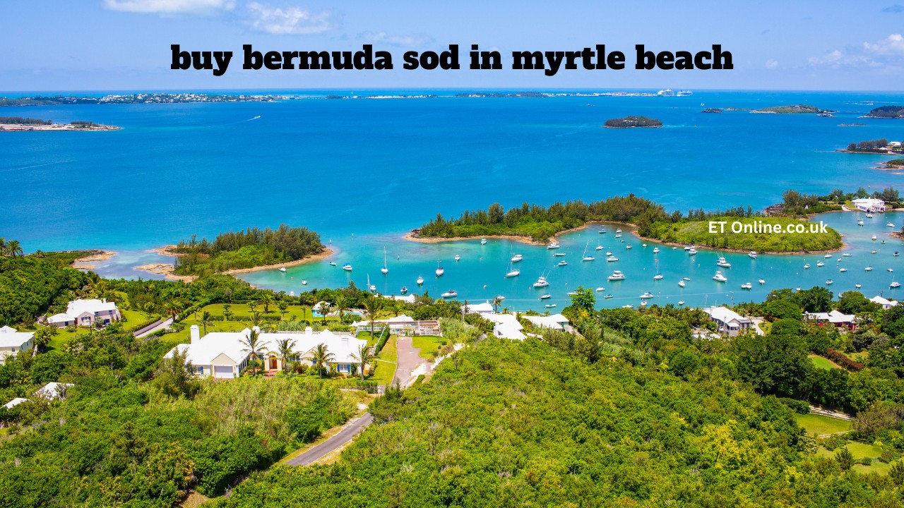 buy bermuda sod in myrtle beach/ wspy news/ crypto30x.com news, Discover where to buy Bermuda sod in Myrtle Beach, latest updates.