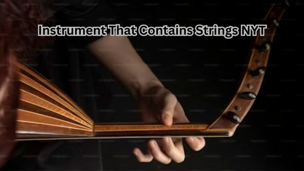 Instrument That Contains Strings NYT