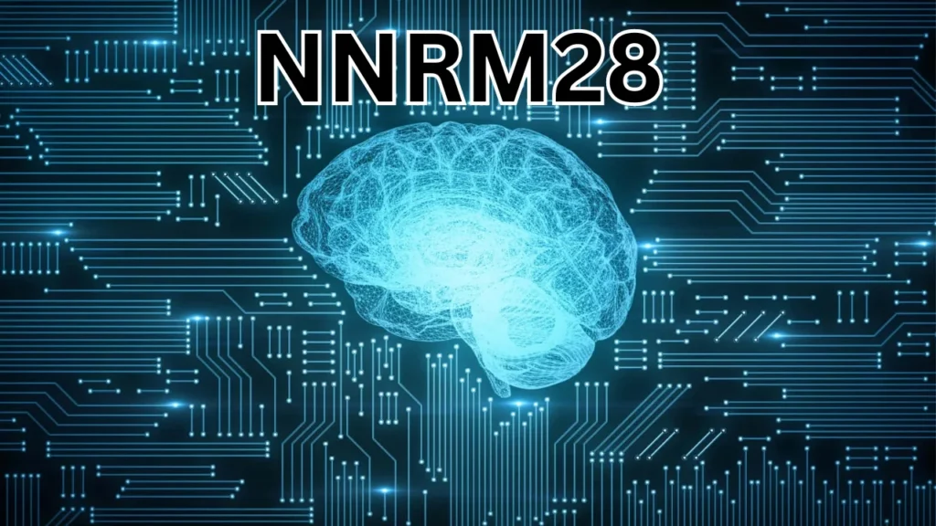 Comprehensive Guide to NNRM28: Benefits and Applications