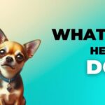 "What the Heckin Dog" Moments: A Guide to Dog Behavior