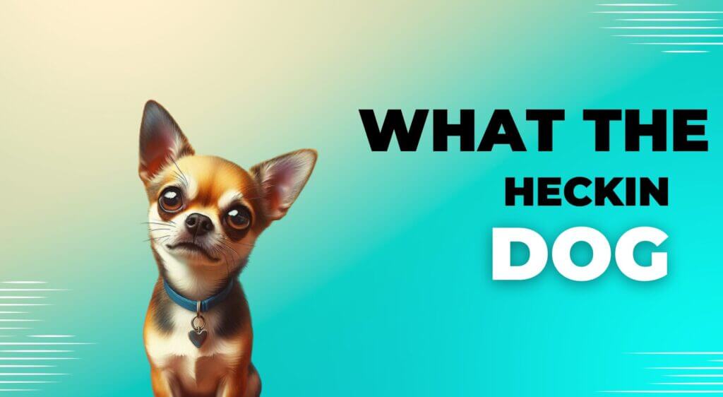 "What the Heckin Dog" Moments: A Guide to Dog Behavior